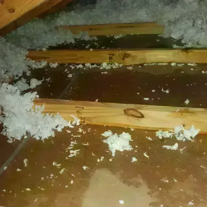 Attic Water Damage in London, OH