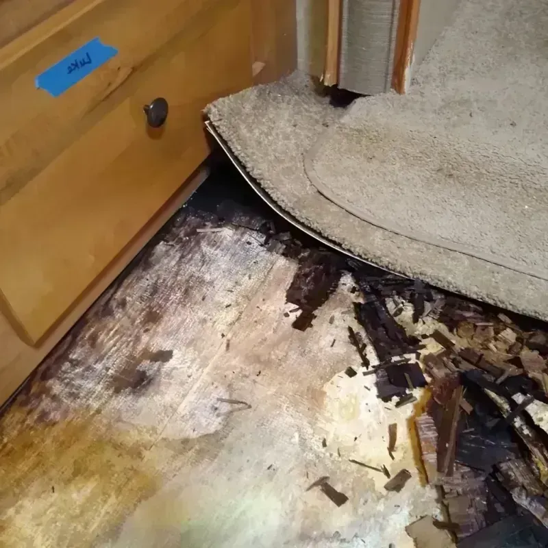 Wood Floor Water Damage in London, OH